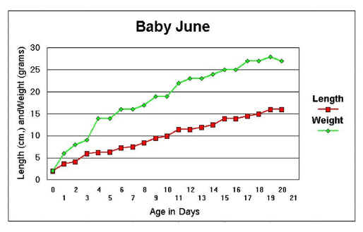 Mourning Dove Age Chart